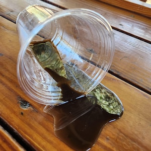 Realistic fake coffee cup spill (plastic cup) by Dead Head Props, Great as as a gag gift or prank!