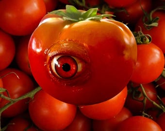 Realistyczny, wielkości naturalnej, przerażający, wszechwidzący pomidor od Dead Head Props, rekwizyt na Halloween, rekwizyt na horror, dekoracja na Halloween