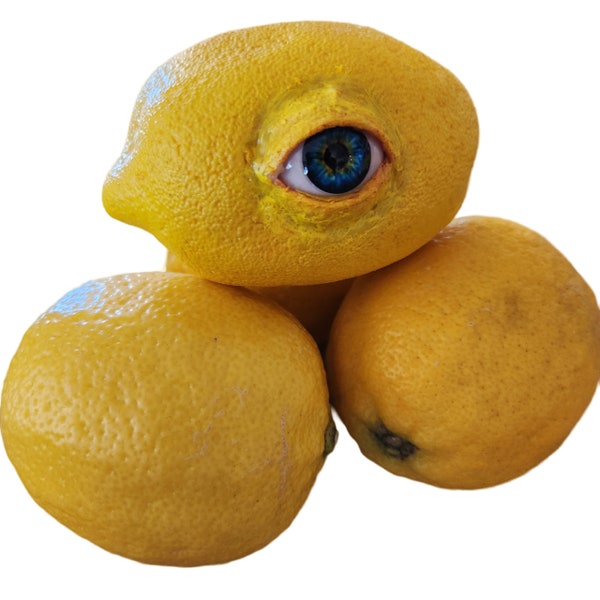 Realistic Life Sized Freaky Fruit All Seeing Lemon by Dead Head Props ,Halloween Prop, Horror Prop, Halloween Decoration