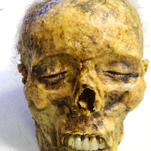 Halloween Horror Prop - Lebensgroßer Realistischer Kopf des Sleeper Skull Corps