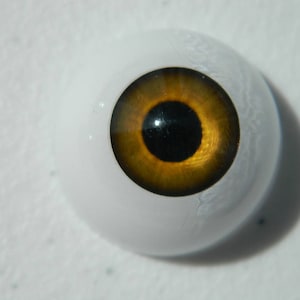 Pair of Life Size Realistic Human Acrylic Half round hollow back Eyes for Halloween PROPS, MASKS, DOLLS FE01