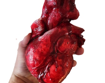 Realistic Bloody cut out Anatomical Heart prop, Life size, Halloween prop, Horror prop decoration