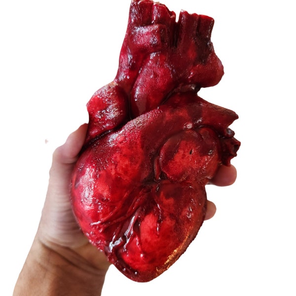 Realistic Bloody cut out Anatomical Heart prop, Life size, Halloween prop, Horror prop decoration