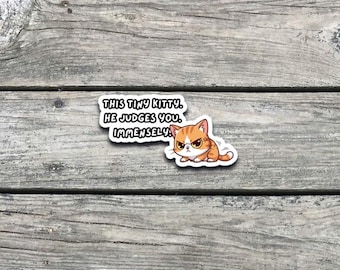 Judgy Cat Sticker | Grumpy Kitty Vinyl Decal | Funny Cat Lover Gift | Waterproof