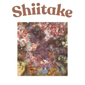 May include: A square fabric swatch featuring a tie-dye pattern with blended shades of brown, deep purple, muted orange, and cream. The word Shiitake is printed in a large, bold, brown sans-serif font centered above the square textile design.