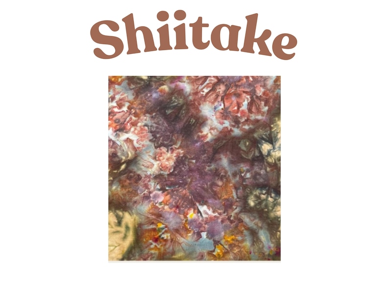 May include: A square fabric swatch featuring a tie-dye pattern with blended shades of brown, deep purple, muted orange, and cream. The word Shiitake is printed in a large, bold, brown sans-serif font centered above the square textile design.