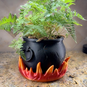 May include: A black cauldron-shaped planter with a green fern plant, set on a flame-shaped base with red and orange hues. The planter has a handle and a textured surface, creating a whimsical, decorative piece.