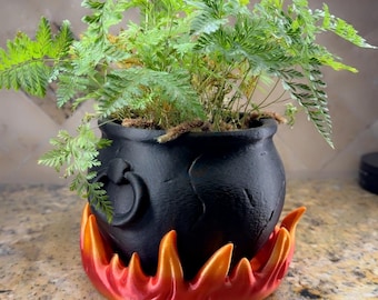May include: A black cauldron-shaped planter with a green fern plant, set on a flame-shaped base with red and orange hues. The planter has a handle and a textured surface, creating a whimsical, decorative piece.