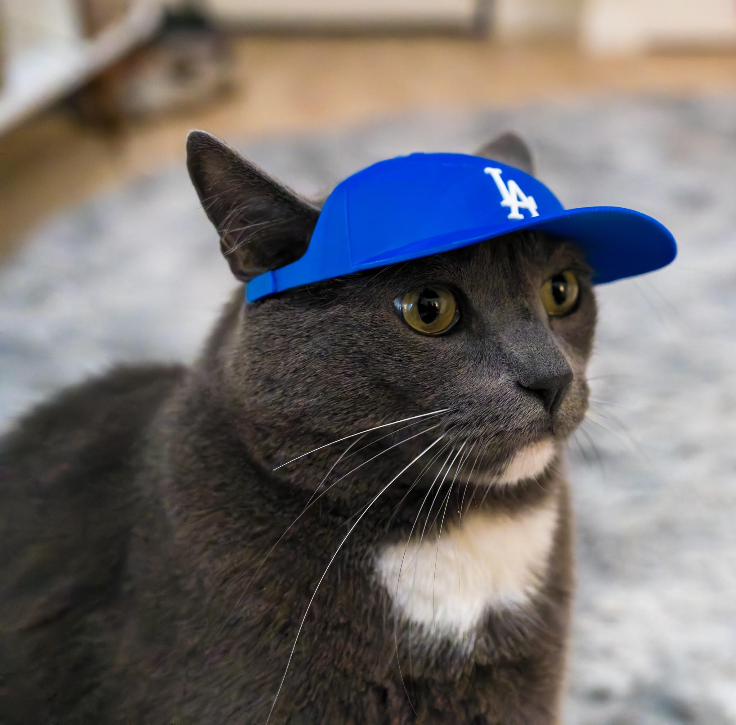 R　NEWAVE CAT HAIR BEANIE NEWAVE CAT HAIR BEANIE – YZ