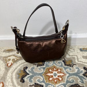 May include: A metallic brown handbag with a curved handle and silver-toned hardware. The bag has a zipper closure and a small charm. The bag is sitting on a patterned rug.