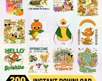 Orange Bird The EPCOT Flower & Garden Festival Png Bundle, Orange Bird Hello Sunshine Png, Epcot Flower and Garden Festival 2026 Png