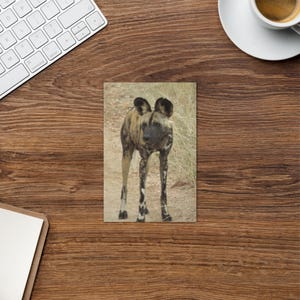 Cartão de felicitações digital Cão selvagem africano
