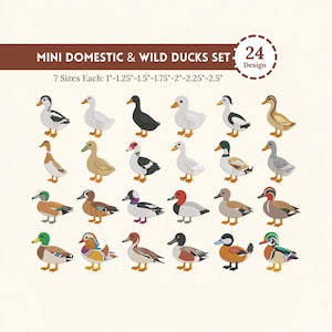 May include: A digital collection of 24 mini domestic and wild duck designs in various colors and patterns. The text reads MINI DOMESTIC & WILD DUCKS SET, 24 Design, and 7 Sizes Each: 1"-1.25"-1.5"-1.75"-2"-2.25"-2.5". Each duck is illustrated.
