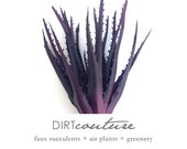 Purple aloe, faux aloe, Starfish aloe, starfish succulent, purple succulent, spiky succulent, aloe vera, aloe plant, burgundy succulent