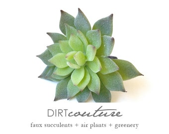 Fake succulents, succulent plant, echeveria, succulent cutting, succulent plant