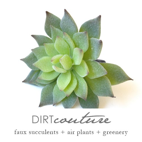 Fake Succulents Succulent Plant Echeveria Succulent Etsy