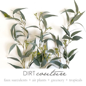 Silver eucalyptus, needle leaf, faux, stem, seeded eucalyptus, eucalyptus branch, eucalyptus stem