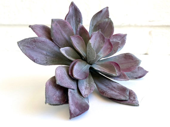 Petite succulente violette fausses succulentes écheveria - Etsy Canada