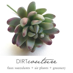 Faux succulents, sedum, artificial plant, artificial succulent, chunky succulent