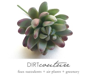 Faux succulents, sedum, artificial plant, artificial succulent, chunky succulent