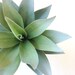 Agave, Succulent plant, faux succulent, faux agave, succulent cutting, succulent planter, artificial plant, favor, succulent centerpiece