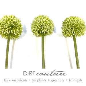 Allium, faux, green seed heads, floral texture, green flowers