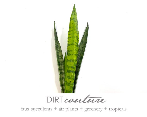 18" Small Sansevieria, Mother in Law Tongue, Snake Plant, Artificial - Etsy