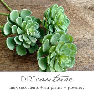 Faux Hens and Chicks Succulent Pick, Artificial Plant
