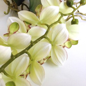 Orchid, faux orchid flower, silk orchid, tropical plant, artificial orchid, phalaenopsis, white orchid image 8