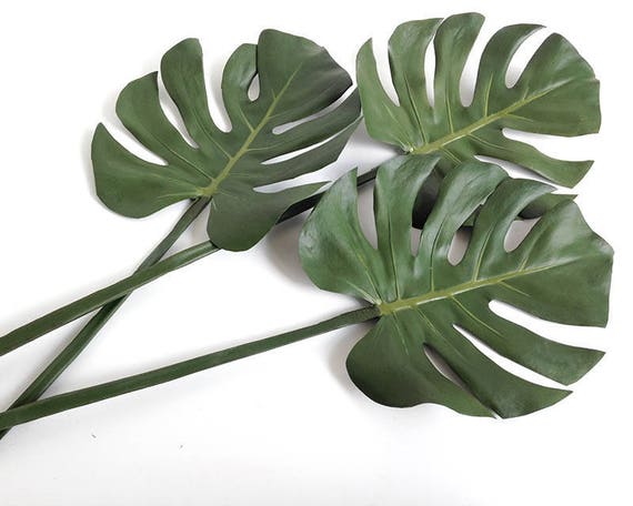 Buy Split Leaf Philodendron, Monstera, Tropical Leaf, Artificial Tropical  Plant, Small Monstera Plant Online in India - Etsy