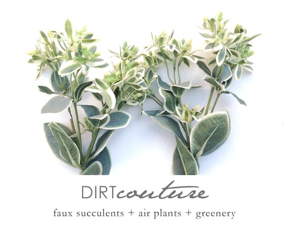 Faux Greenery, Euphorbia, Euphorbia Marginata, Variegated Greenery, Gray  Green, Floral Stem, Greenery Stem, Artificial Greenery 