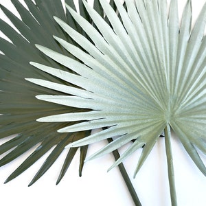 Palm, Fan palm leaf, dried look, faux, palm leaves, palm decor, tropical decor, Palmetto, palm floral image 2