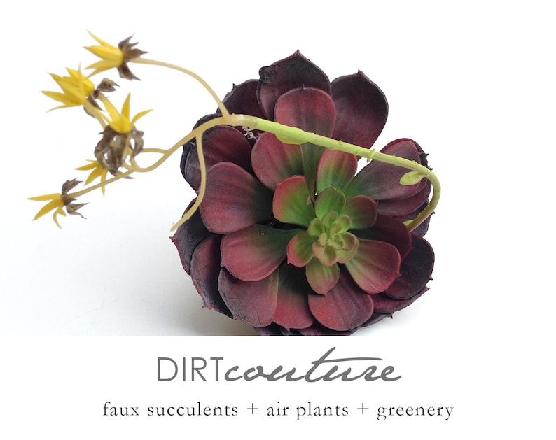 Large burgundy succulent red echeveria succulent plant faux  etsy