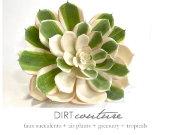 Fake succulent, variegated succulent, faux echeveria, artificial succulent