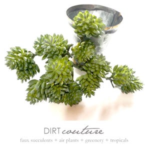 Succulent, green sedum, hen and chick, faux succulent