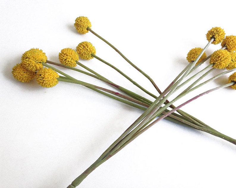 6 Faux Billy Balls Craspedia Billy Buttons Yellow Flower Etsy