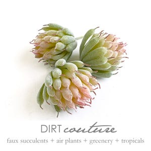 May include: Three artificial succulent plants with green and pink leaves. The plants are arranged in a cluster and have a frosted appearance. The text "DIRT couture" is visible below the plants.