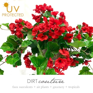 May include: A red geranium plant with green leaves. The plant is UV protected and is part of the DIRT couture collection of faux succulents, air plants, greenery, and tropicals.