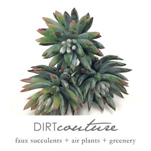 May include: Three faux succulent plants with green leaves and red edges. The plants are arranged in a triangular shape. The text "DIRTcouture" is below the plants, and the text "faux succulents + air plants + greenery" is below that.