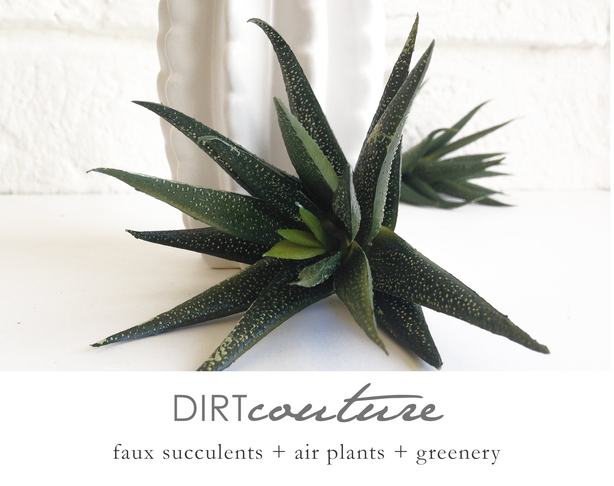 Fake succulents, haworthia Fasciata, Zebra plant, faux plant, aloe, f…
