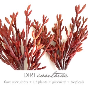 May include: A bunch of faux succulent stems in a reddish-brown color. The stems are arranged in a fan shape and have small, pointed leaves. The stems are against a white background. DIRT couture faux succulents + air plants + greenery + tropicals
