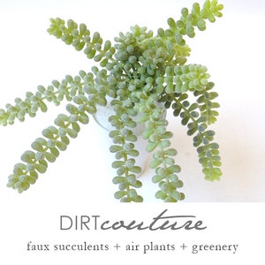 Succulent plant, donkey tail, sedums, artificial succulents, hanging succulent