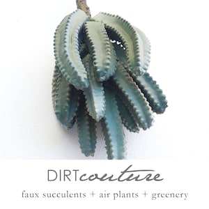 Faux Organ Pipe  cactus, artificial plant, faux succulent, Euphorbia, succulent