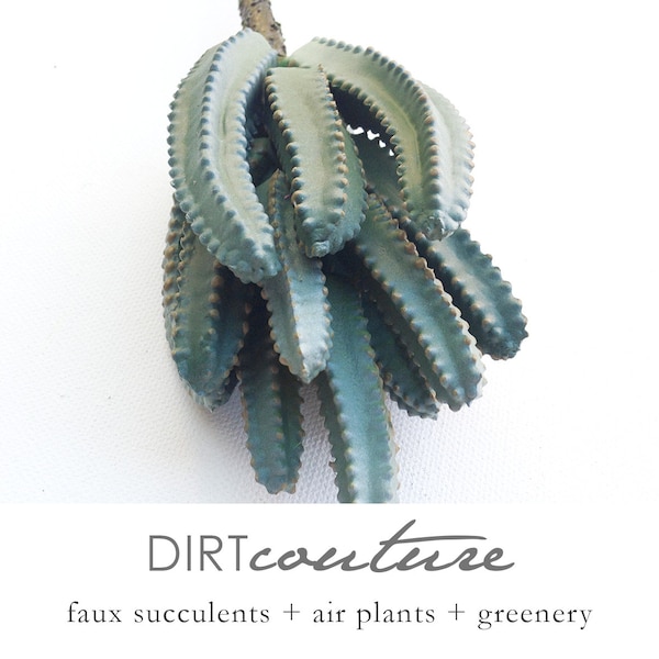 Faux Organ Pipe  cactus, artificial plant, faux succulent, Euphorbia, succulent