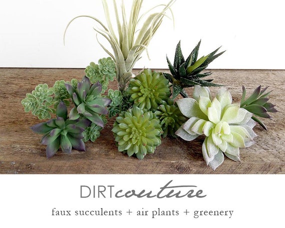 Set of 3 Faux Succulent Plants, Echeveria Long Stem Fake Air