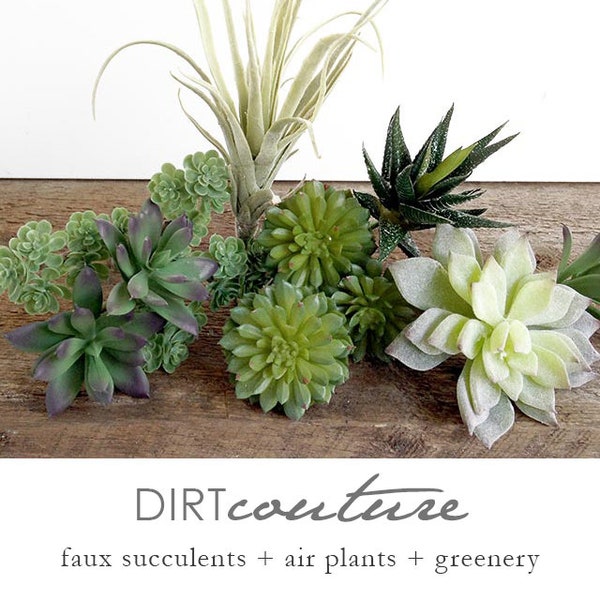 Succulent arrangement, artificial, succulent collection, faux succulents