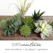 see more listings in the FAUX SUCCULENTS section