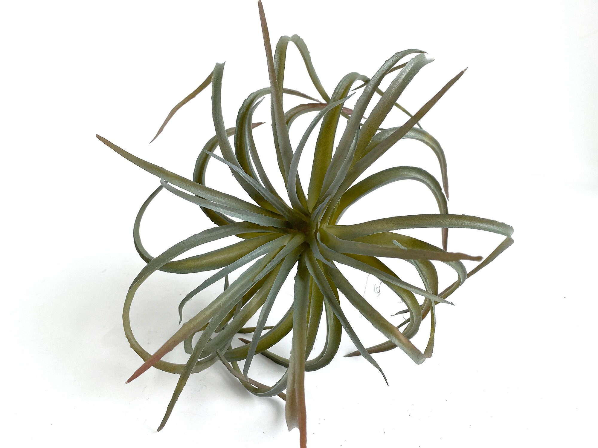 Faux air plant artificial air plant tillandsia plant small Etsy