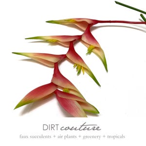Pink-burgundy heliconia stem, faux heliconia, lobster claw, draping form