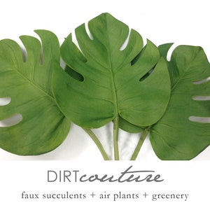 3 split leaf philodendron, monstera, tropical leaf, faux, tropical plant, small monstera plant, Tropical philo